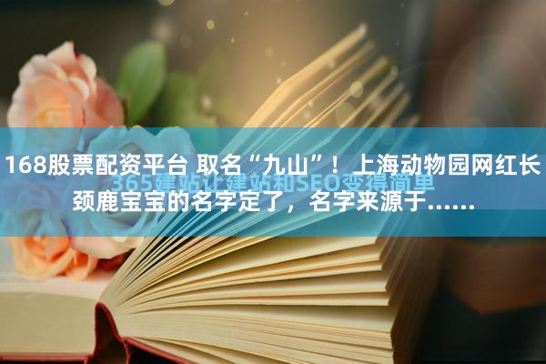 168股票配资平台 取名“九山”！上海动物园网红长颈鹿宝宝的名字定了，名字来源于......